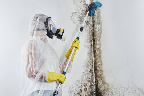 Step-by-Step Water Damage Restoration Procedure